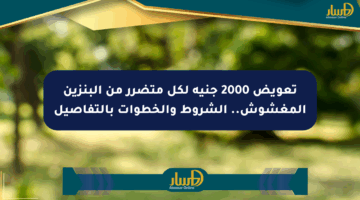 تعويض 2000 جنيه لكل متضرر من البنزين المغشوش.. الشروط والخطوات بالتفاصيل